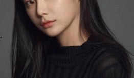 网络麻豆姐姐,揭秘网红背后的故事与魅力